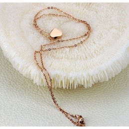 Collar De Titanio Con Forma De Corazón De Renombre Mundial