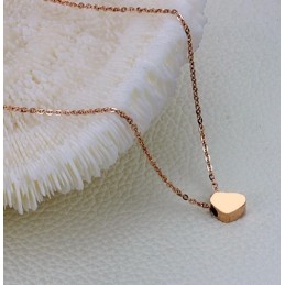 Collar De Titanio Con Forma De Corazón De Renombre Mundial