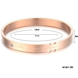 Brazalete De Titanio Completo Con Especificaciones Para Amantes