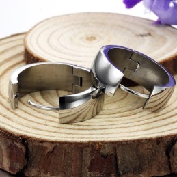 Pendientes De Titanio Para Mujer Con Especificaciones Completas