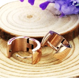 Pendientes De Titanio Femeninos De Alta Calidad