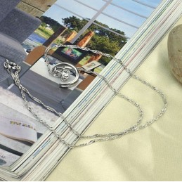 Collar De Titanio Con Baño De Platino Y Diamantes De Imitación Para Mujer.