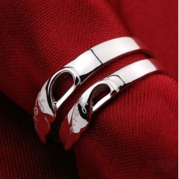 Anillo De Titanio Con Baño De Platino De Calidad Para Amantes.