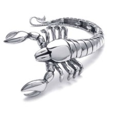 Pulsera De Titanio Pulido Con Diseño De Animal Escorpión