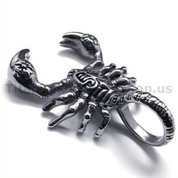 Colgante De Escorpión De Titanio - Cadena Gratis