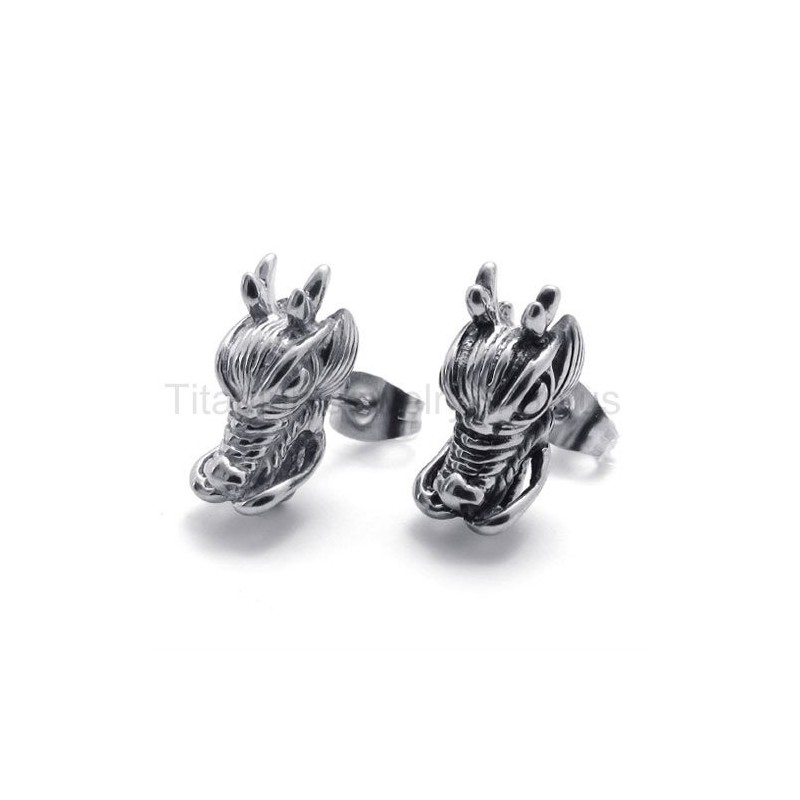 Pendientes De Titanio Con Forma De Dragón