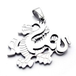 Colgante De Titanio Con Forma De Dragón