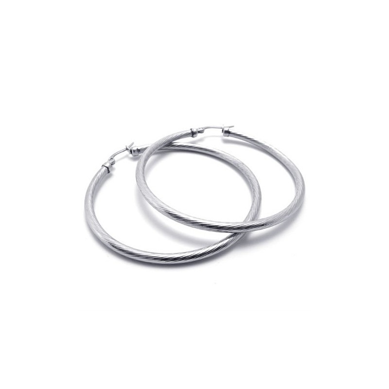 Pendientes De Titanio Con Forma De Anillo Pendientes De Titanio Con Forma De Anillo